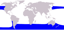 Mapa rozsahu kytovců Right Whale Dolphin.png