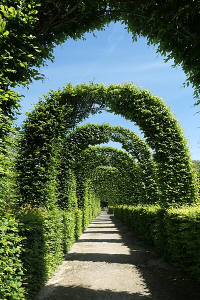 File:Chilleurs-aux-Bois - château de Chamerolles, parc 06.jpg