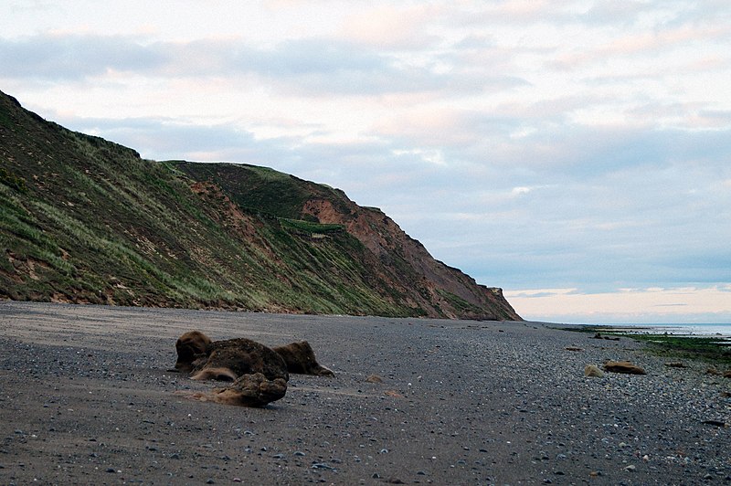 File:Cliffs and beach looking towards Shellag Point - geograph.org.uk - 3620012.jpg