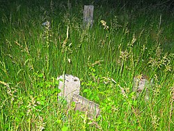 Останки от немското гробище в Нови Лубуш