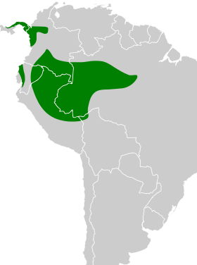 Distribución geográfica del mosquero pardo.