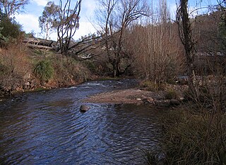 <span class="mw-page-title-main">Cobungra River</span> River in Victoria, Australia