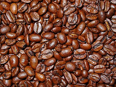 Coffea arabica Roasted Beans