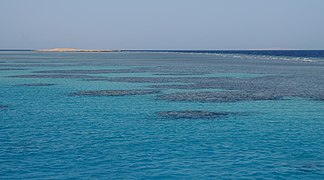 Coral reef on the Zushiran coast