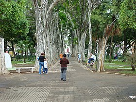 Campo Belo