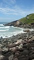 Costa Leste - Ilha de Santa Catarina - Brasil - panoramio (11).jpg