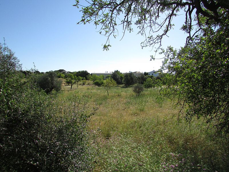 File:Countryside view near Branqueira, 07 June 2016 (1).JPG