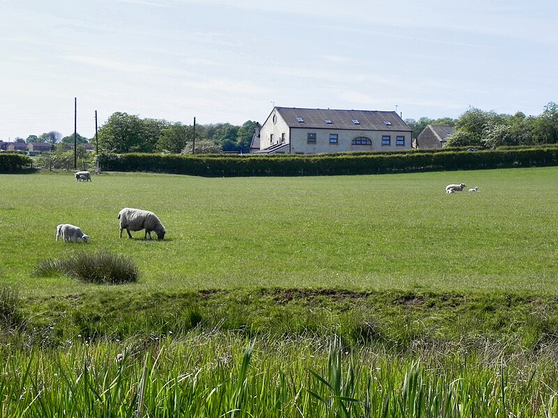 File:Crow Trees Farm - geograph.org.uk - 2397560.jpg