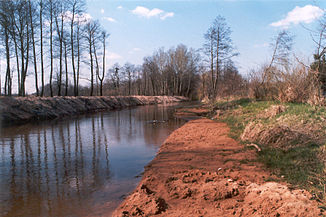 The regulated Czarna near Staszów