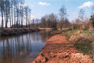 Die regulierte Czarna bei Staszów