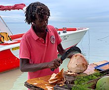 voyage a l'ile maurice avec un chien