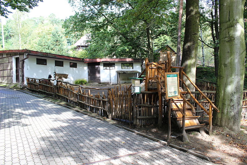 File:Děčín, zoologická zahrada, Expozice domácích zvířat.jpg