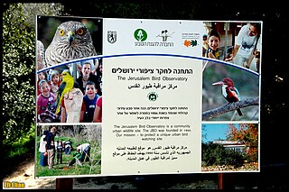 Jerusalem Bird Observatory