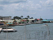 Belize Litoral. Darcy McCarthy 5-26-06.jpg