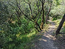 Deer Creek bridge crossing on the main stem (according to where GNIS shows the source)