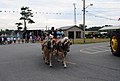 Delaware State Fair - 2012 (7681654500).jpg