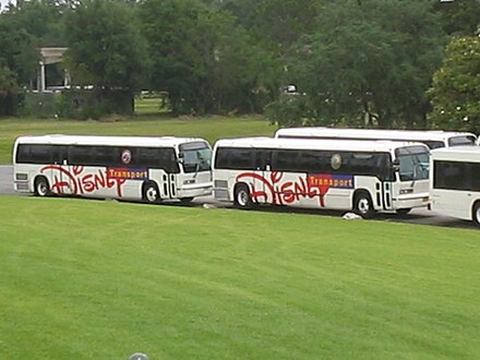 Disney buses lined up