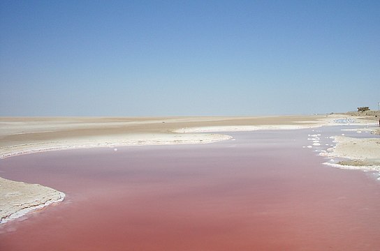 Озеро эль. Озеро Эль-Джерид. Тунис озеро Эль-Джерид. Шотт-Джерид. Озеро Эль Джерид Тунис солёное?.