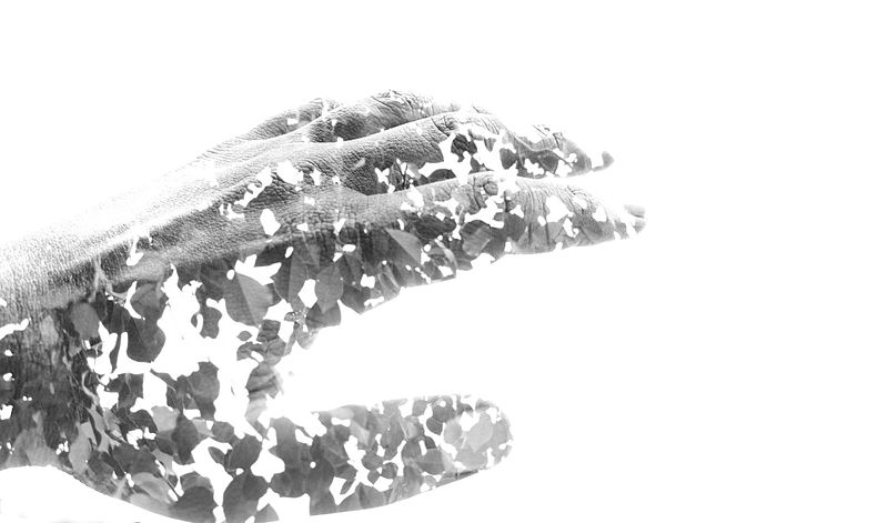 File:Double Exposure hand (9189213157).jpg