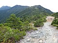 銅山峰から左奥に西赤石山