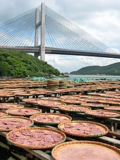 Shrimp paste drying below the Kap Shui Mun Bridge, Hong Kong Drying shrimp paste.jpg