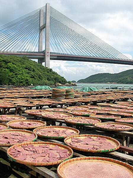 Tập_tin:Drying_shrimp_paste.jpg