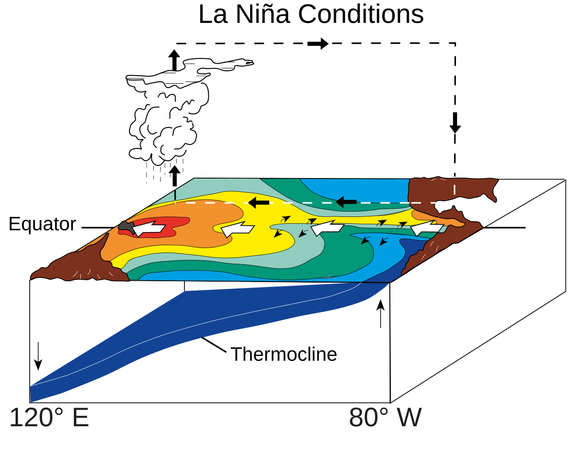 File Enso La Nina Svg Wikimedia Commons