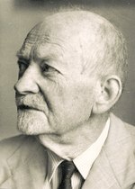 Vorschaubild für Fritz Medicus (Philosoph)