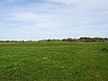 Early medieval tumulus at Farthing Down. [220]