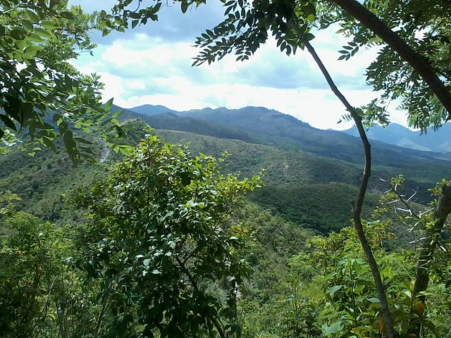 Parc municipal Cerro El Casupo, Valencia, Carabobo