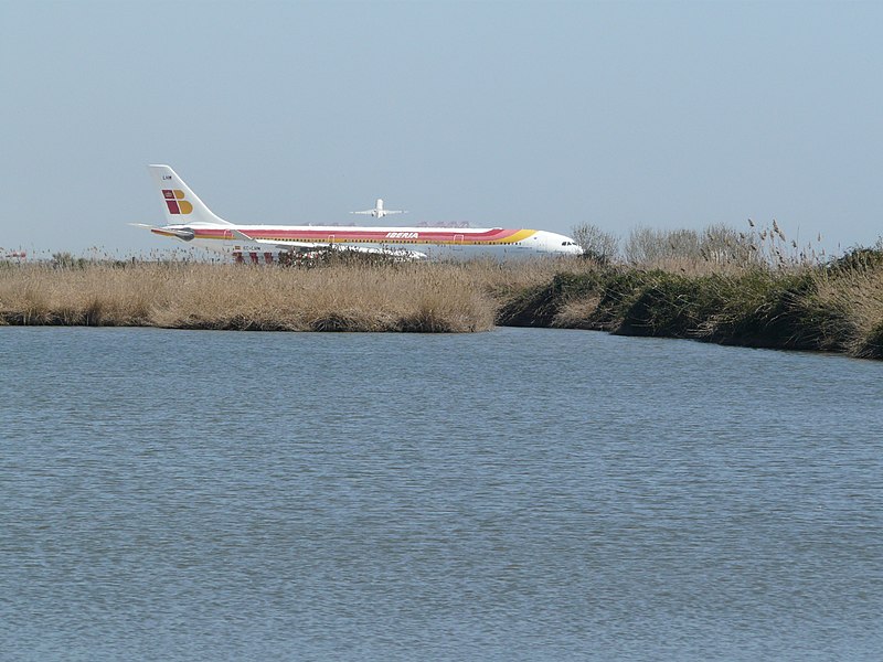 File:Estany del braç de la Vidala P1100464.jpg