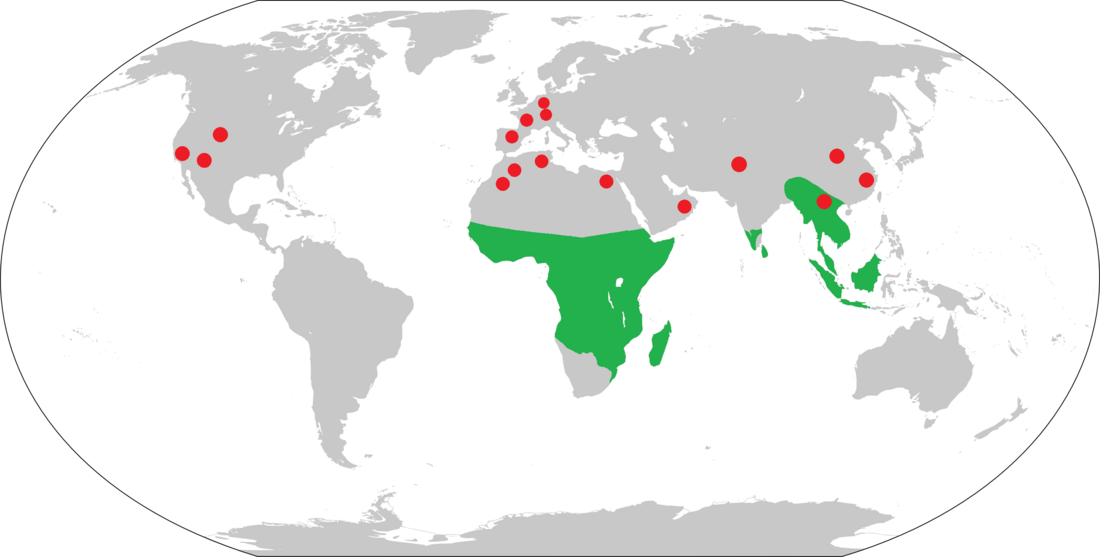 File:Extant strepsirrhine range with fossil sites.png