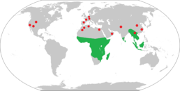 Поширення сучасних мокроносих (зелений) і скам'янілі знахідки(червоний)