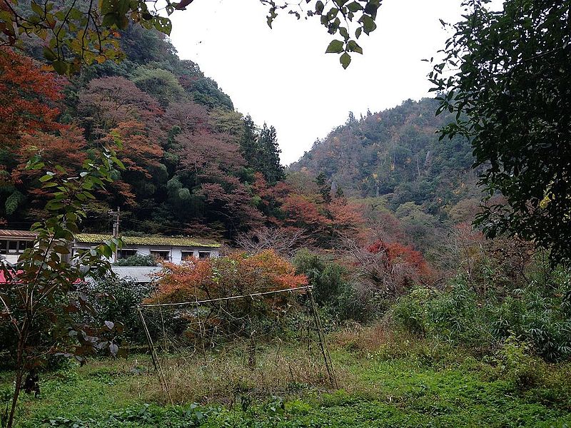 File:Farmland in Shin-Yabakei Valley.JPG