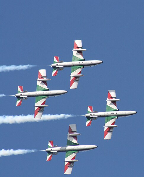 File:Ferrara, Frecce Tricolori - panoramio - Carlo Pelagalli.jpg