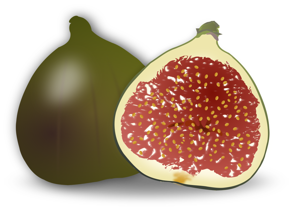 Download File Fig Fruit Svg Wikimedia Commons