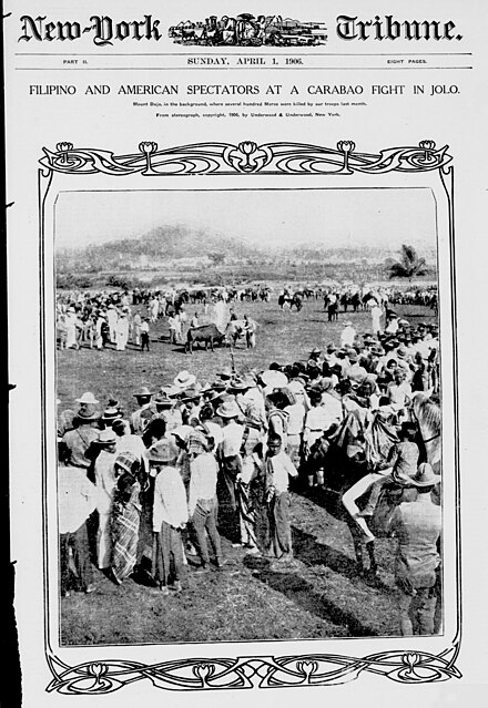 Filipinos and American soldiers observed a water buffalo fight in 1906.
