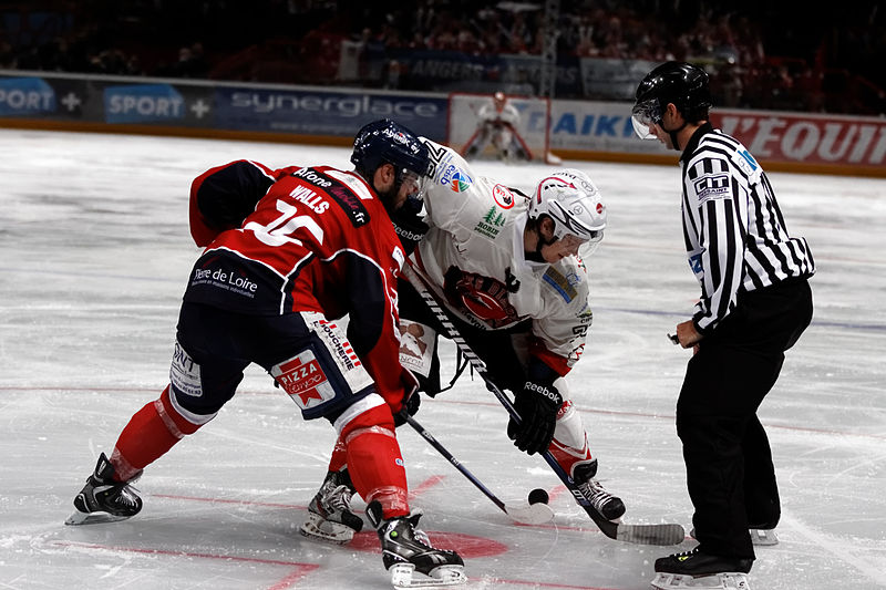 File:Finale de la coupe de France de Hockey sur glace 2013 - 053.jpg