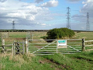 Fobbing Marsh Essex Wildlife Trust Nature reserve