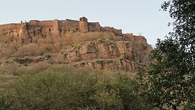 Fort de Ranthambore makalesinin açıklayıcı görüntüsü