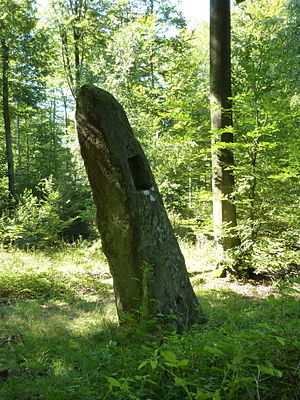 Habiter à Rosteig