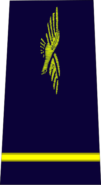 File:French Air Force-sous-lieutenant.svg