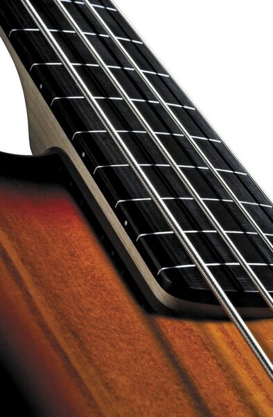 File:Fretless.jpg