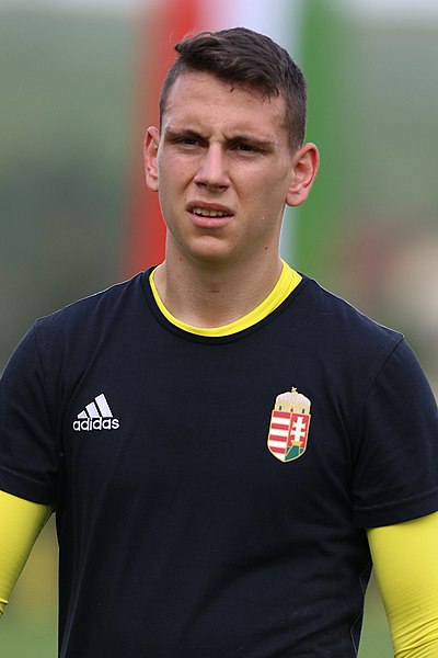 File:Friendly match Austria U-21 vs. Hungary U-21 2017-06-12 (126).jpg