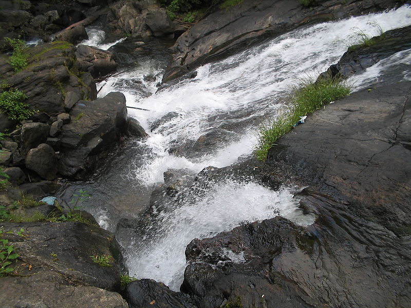 File:From top of Irupu Falls.jpg