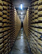 Fromage: Définitions, Types de fromages, Histoire