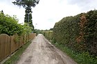 Silberapfelweg from Ludwig-Quidde-Straße