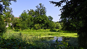 Zabytkowy park w zespole pałacowym w Galinach.