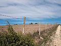 * Nomination Fence near the circular trail around the Ullíbarri-Gamboa reservoir at Garaio. Álava, Basque Country, Spain --Basotxerri 08:39, 13 November 2016 (UTC) * Promotion Good quality. I think it would be even better if you upped the dark tones a bit, it would give it more deapth. --W.carter 09:42, 13 November 2016 (UTC)  Done That's it, you're right. Better now... --Basotxerri 10:05, 13 November 2016 (UTC) Oh yes! :) W.carter 11:01, 13 November 2016 (UTC)