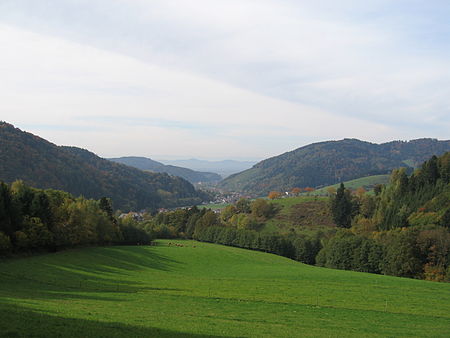 Glottertal von oben